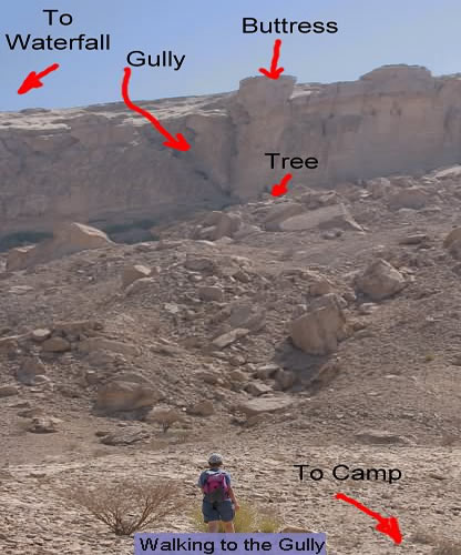 Photo of the Gully