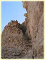 View up the gully
