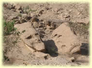 Rock face?