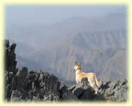 Spectacular views into the rugged valleys below
